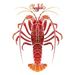 graphic vector crayfish drawn in line art style. spiny or rocky lobster. sea and ocean creature isolated on white background in red colors. top view. seafood element. coloring book page design
