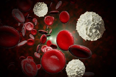 healthy human red and white bloodcells in close up 3d graphics