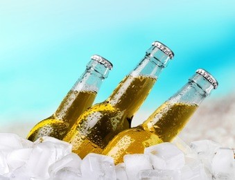beer.