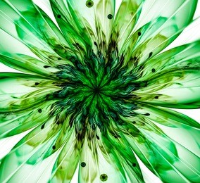 8XX8IOɶ̽Ϸе¶̬淨ح:ֻAPP޹