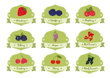vintage collection berries badge, sticker. berry logo, berries logo template of strawberry, blackberry, raspberry, grape, currant vector set. set of berries stickers 