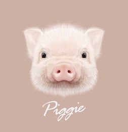 vector illustrated portrait of farm pig. cute head of little piggy on tan background.
