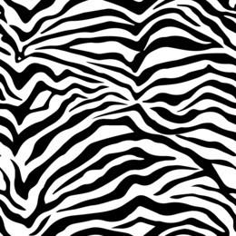 seamless zebra texture.vector