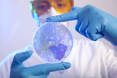 scientist holding a petri dish with virus cells