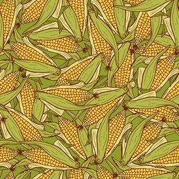 vector vegetable background. hand drawn doodle corn cobs seamless pattern 