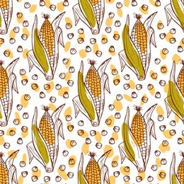 vector vegetable background. hand drawn doodle corn cobs and corn grains seamless pattern 