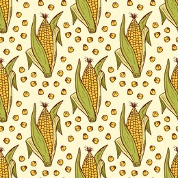 vector vegetable background. hand drawn doodle corn cobs and corn grains seamless pattern 