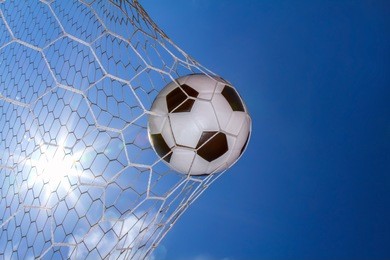 soccer ball in goal on the field