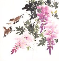 chinese watercolor painting of wisteria