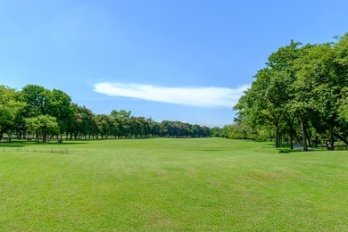 green nature on public park with blue sky cloud