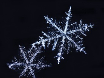 real snowflakes in color lighting

