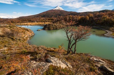 autumn in patagonia. tierra del fuego, beagle channel, the argentina side