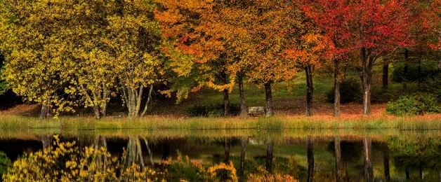 autumn panorama