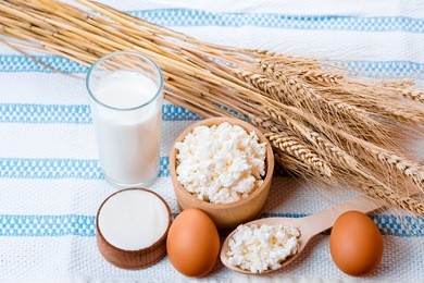 natural homemade products: milk, cheese, sour cream and eggs on old wooden background with ears of wheat. with space for your text