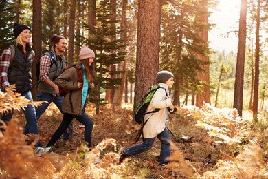 family hiking through a forest, california, usa