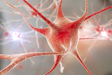 3d illustration of neurons on colorful background