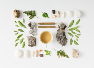 creative natural layout made of leaves, stones, and tree bark on white background. flat lay.
