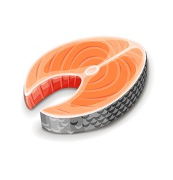 steak of red fish salmon for sushi food menu vector illustration isolated white background. 