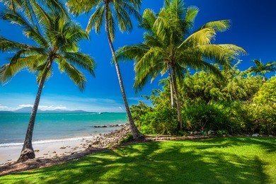 rex smeal park in port douglas with tropical palm trees and beach, australia