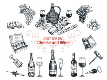 set of vine and cheese elements. vector illustration in sketch style. hand drawn design elements. 