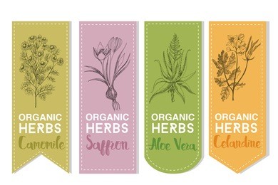 organic herbs set of label.