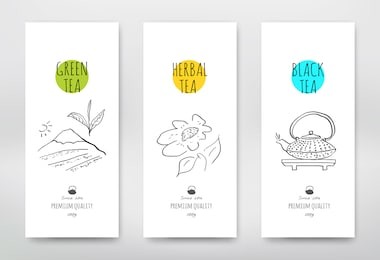 tea design package. green tea packaging design hand-drawn style. black tea vector illustration. herbal tea sign.