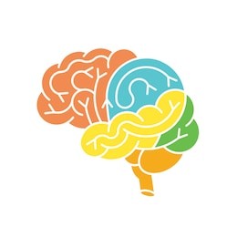 human brain anatomy structure. human brain anatomy illustration. vector human brain anatomy in flat style, easy recolor. brain icon. structure of human brain. vector brain logo.