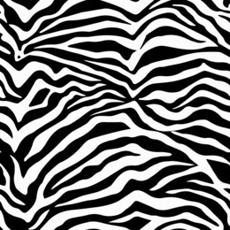 seamless zebra pattern. zebra fur. vector