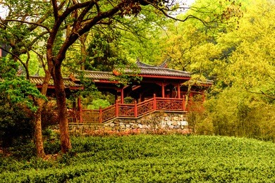 lingyin temple (temple of the soul's retreat) complex. one of the largest buddhist temples in china