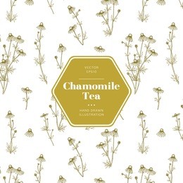 vector hand drawn rosehip tea emblem. includes seamless pattern swatch.