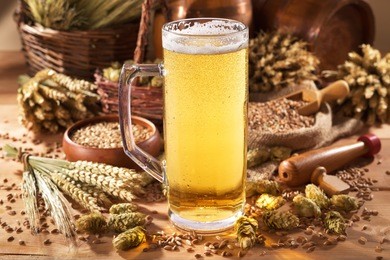beer mug with hops, wheat, grain, barley and malt
