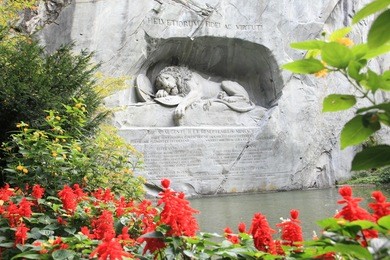 the famous dying lion monument of lucerne, framed by flowers