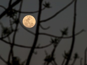 abstract background, the full moon on the night of dreams.