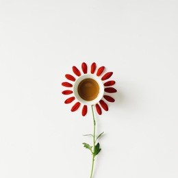 coffee cup and flower petals. minimal concept. flat lay.