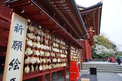 japan - tokyo - tsurugaoka hachimangu - kamakura kanagawa