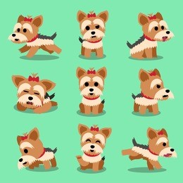 cartoon character yorkshire terrier dog poses set