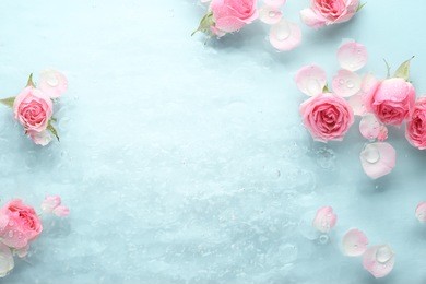 rose in water,spa background.