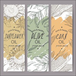 set of 3 vector sunflower, olive, corn oil label templates. based on had drawn sketch. great for packaging and advertising design.