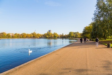 beautiful morning walk in the hyde park in london with different birds in the lake