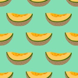 melon vector. summer fruits. seamless pattern with melon