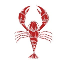 vector illustration of a red lobster on a white background 