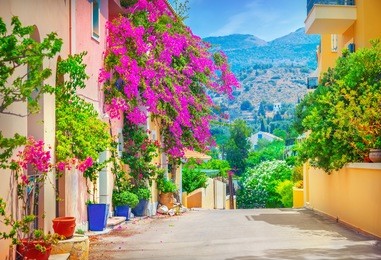 street in kefalonia, greece