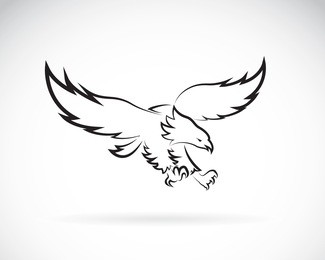 vector image of an eagle design on white background