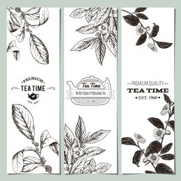 tea banner collection. vector illustration
