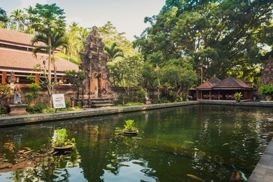 the pool of holy springs at tirta empul, bali indonesia. 