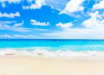 panorama tranquility bay 