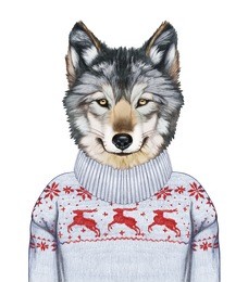 animals as a human. portrait of wolf in sweater. hand-drawn illustration, digitally colored.