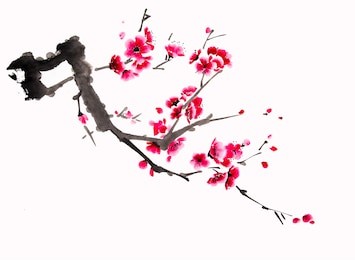 chinese watercolor cherry painting
