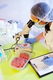 food quality control expert inspecting at meat specimen in the laboratory. selective focus