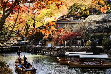 the imageing of fall seasnon in arashiyama, japan